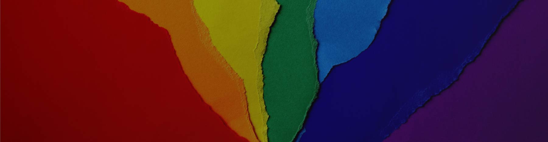 Queering Your Practice:  Working Competently, Affirmingly and Confidently with LGBTQ2IA+ Clients